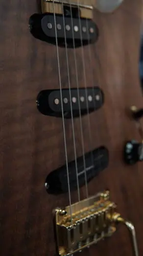 Charvel Guitars - 296-9016-557 2
