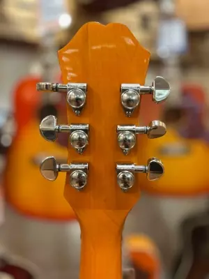 Epiphone - EEDVVBNH 2