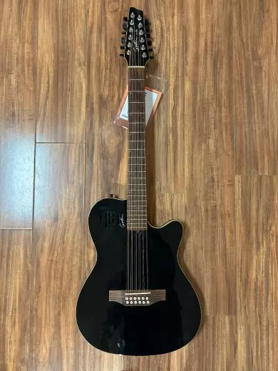 Store Special Product - Godin Guitars - G48588