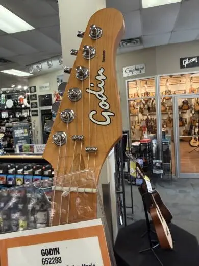 Godin Guitars - Session T-Pro 2