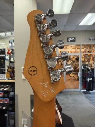 Godin Guitars - Session T-Pro 2