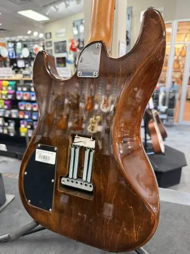 Godin Guitars - Session T-Pro 2