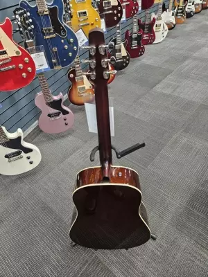 Seagull Guitars Coastline Momentum HG A/E 2