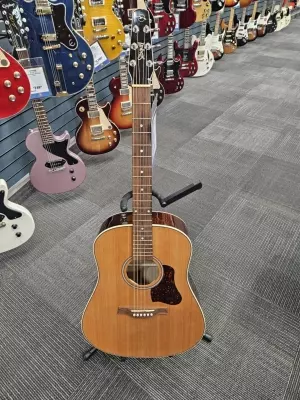Seagull Guitars Coastline Momentum HG A/E