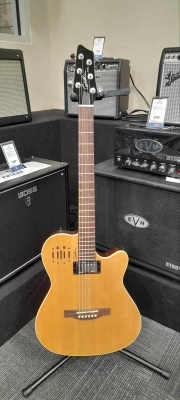 Godin Guitars - G30293