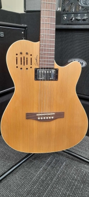 Godin Guitars - G30293 3