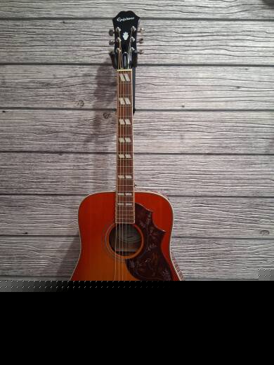 Store Special Product - Epiphone - EEHBFCNH