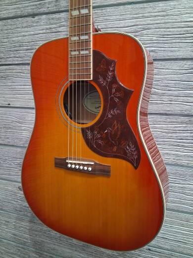Store Special Product - Epiphone - EEHBFCNH