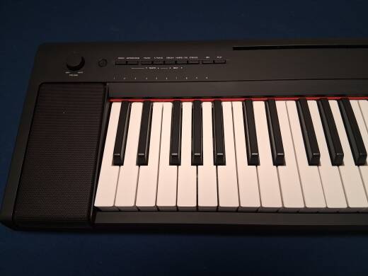 Store Special Product - Yamaha - NP15 B