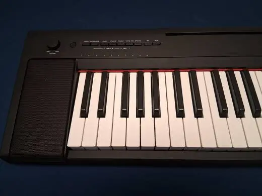 Yamaha - NP15 B 2