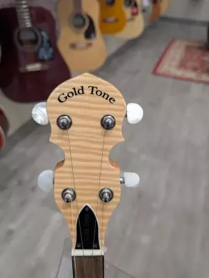 Gold Tone - CC-100R 2
