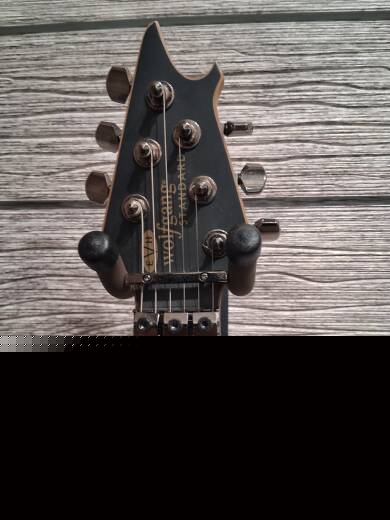 Store Special Product - EVH - 510-7003-512