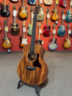 Taylor - GS MINI with ES-GO
