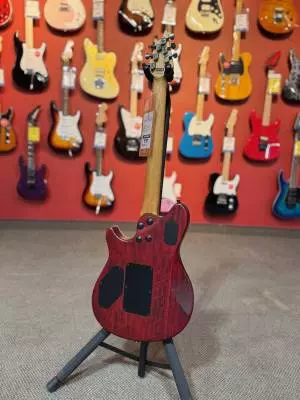 EVH - WG STD EXOTIC BKD MPL LAUREL BURL 2