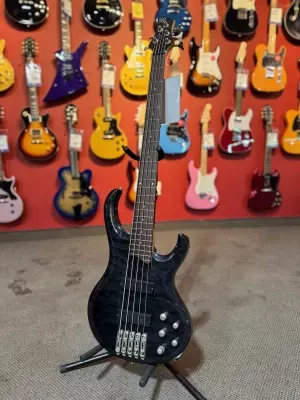 Ibanez - BTB W/BARTOLINI TRANS BLK