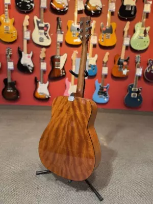 Yamaha - FG800J BS 2