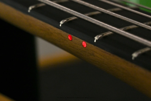 Doc's Custom Shop - Dusty Bass 2