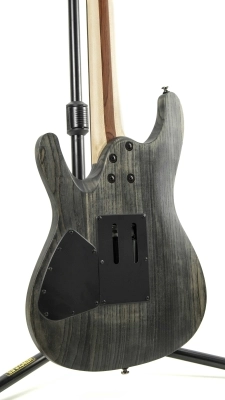Ibanez - Paul Waggoner Signature w/ Gigbag 2