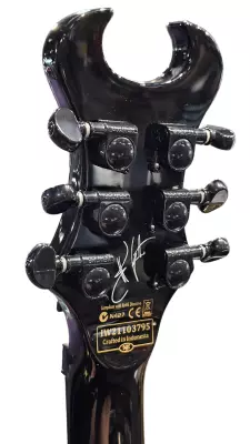 Schecter - Synyster Standard WITH CASE 2
