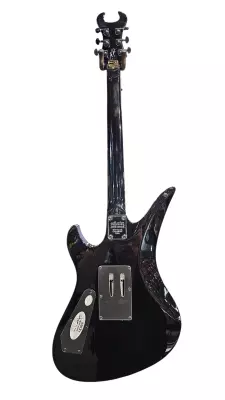 Schecter - Synyster Standard WITH CASE 2
