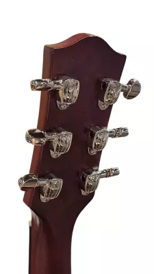 Godin Guitars 5th Avenue Uptown Custom Havana Brown 2