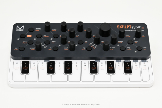Modal Electronics - SKULPTsynth SE 4-Voice Synthesizer