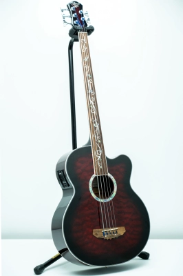 Michael Kelly - Dragonfly Fretless 5