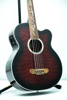 Michael Kelly - Dragonfly Fretless 5 2