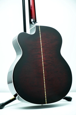 Michael Kelly - Dragonfly Fretless 5 2