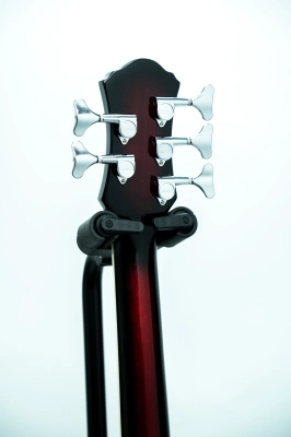 Michael Kelly - Dragonfly Fretless 5 2