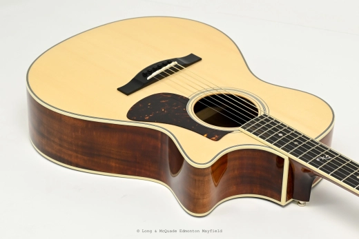 Eastman - AC308CE-LTD w/ Case 2