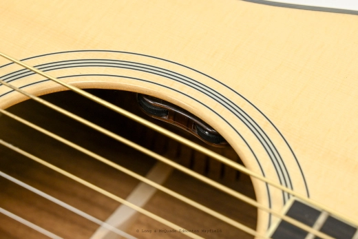 Eastman - AC308CE-LTD w/ Case 2