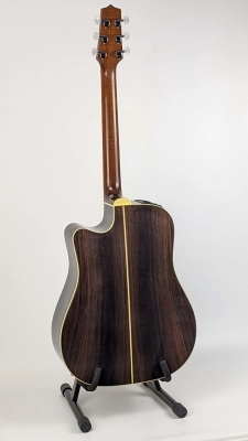 Takamine - Draco & Ursa 2004 Limited Edition 2