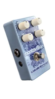 Catlinbread Montavillian Echo 2