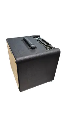 Ibanez Troubadour T80N Acoustic amp 2