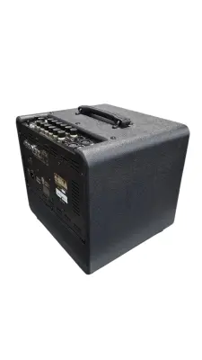 Ibanez Troubadour T80N Acoustic amp 2