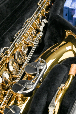 Yamaha Band - Standard Tenor Saxophone - Gold Lacquer 7