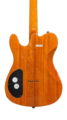 Fender SE Custom Telecaster HH Amber 2