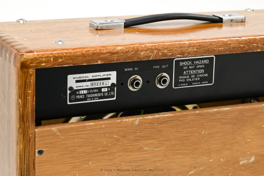 Piggy - 70's BP-210W Solid-State Combo 6