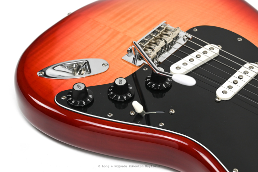 Fender - Player Stratocaster Plus Top Maple - Aged Cherry Burst w/ Gigbag 4