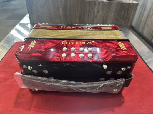 Store Special Product - Hohner - Erica Diatonic Button Accordion A/D