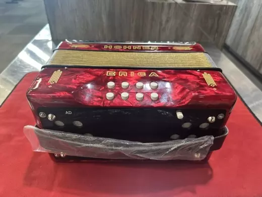 HOHNER ERICA DIATONIC BUTTON ACCORDION 2