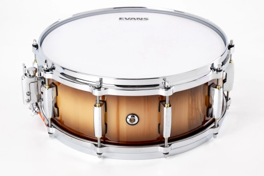 Pearl - Brian Frasier Moore 5.5x14'' Signature Snare Drum 2