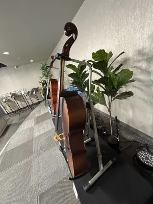 Knilling P112VC44 Student Model Cello 2