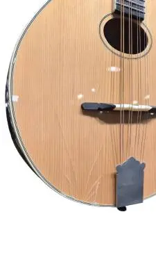 Trinity College Celtic Mandola 2