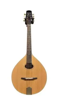 Trinity College Celtic Mandola 2