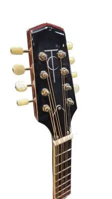 Trinity College Celtic Mandola 2