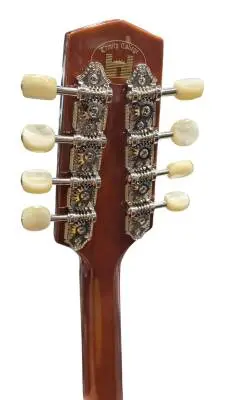 Trinity College Celtic Mandola 2