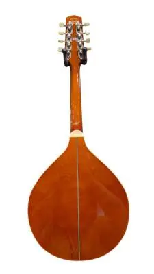 Trinity College Celtic Mandola 2