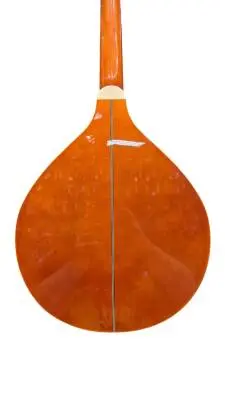 Trinity College Celtic Mandola 2